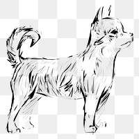 Png Chihuahua dog  animal illustration, transparent background