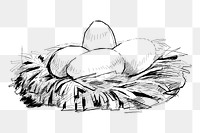 Png eggs nest sketch  animal illustration, transparent background