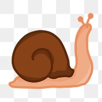 Snail png illustration, transparent background. Free public domain CC0 image.