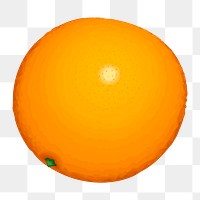 Orange fruit png illustration, transparent background. Free public domain CC0 image.