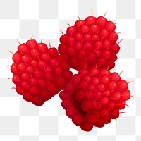 Raspberry png illustration, transparent background. Free public domain CC0 image.