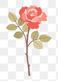 Rose flower png illustration, transparent background. Free public domain CC0 image.