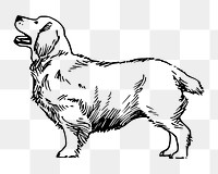 Clumber Spaniel dog png illustration, transparent background. Free public domain CC0 image.