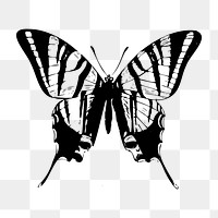 Butterfly png illustration, transparent background. Free public domain CC0 image.