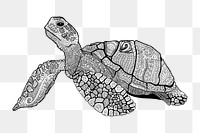 Sea turtle png illustration, transparent background. Free public domain CC0 image.