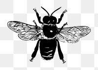 Bee png illustration, transparent background. Free public domain CC0 image.