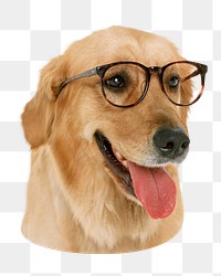 Golden retriever png dog sticker, transparent background