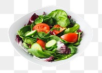 Salad bowl png sticker, transparent background