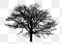 Tree silhouette png sticker, transparent background