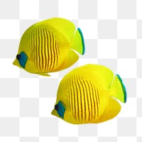 Yellow exotic fish png sticker, transparent background