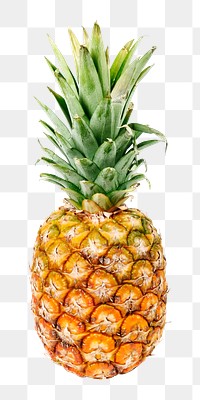 Pineapple png fruit sticker, transparent background