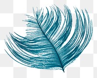 Blue feather png sticker, transparent background