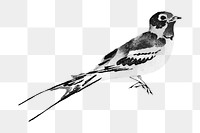 Vintage swallow bird png on transparent background. Remixed by rawpixel.