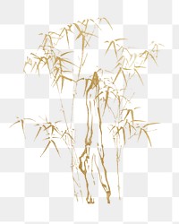 Vintage gold bamboo png on transparent background. Remixed by rawpixel.