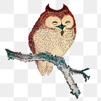 Owl on branch png on transparent background.    Remastered by rawpixel. 