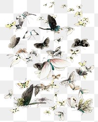 Hokusai’s Butterflies and Moths png on transparent background. Remastered by rawpixel. 