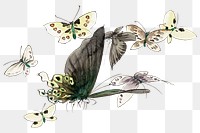 Hokusai’s Butterflies and Moths png on transparent background. Remastered by rawpixel. 