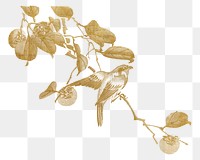 Vintage gold bird png on transparent background. Remixed by rawpixel.