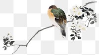 Japanese bird png on transparent background.    Remastered by rawpixel. 