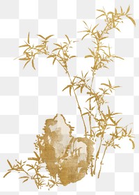 Vintage gold bamboo png on transparent background. Remixed by rawpixel.