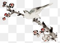 Hokusai&rsquo;s bird on branch png on transparent background.    Remastered by rawpixel. 