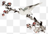 Hokusai’s bird on branch png on transparent background.    Remastered by rawpixel. 