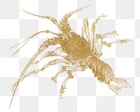 Abalone lobster png sticker, transparent background. Remixed by rawpixel.