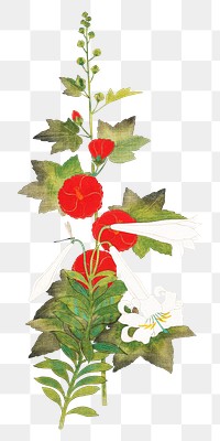 Japanese hollyhock png on transparent background.    Remastered by rawpixel. 