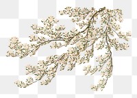 Japanese cherry blossom png on transparent background.    Remastered by rawpixel. 