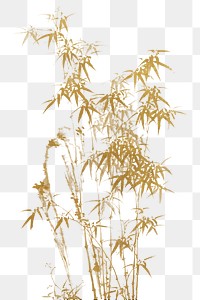 Vintage gold bamboo png on transparent background. Remixed by rawpixel.