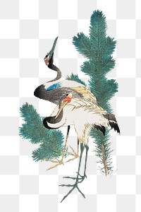 Japanese cranes png on transparent background.    Remastered by rawpixel. 