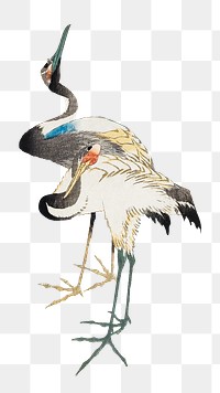 Japanese cranes png on transparent background.    Remastered by rawpixel. 