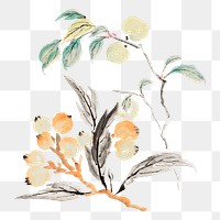 Peach fruit branch png sticker, transparent background.    Remastered by rawpixel. 