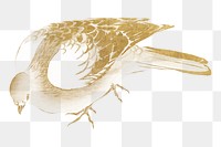 Vintage gold pigeon png on transparent background. Remixed by rawpixel.