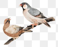 Hokusai's birds png on transparent background.   Remastered by rawpixel. 