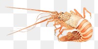 Hokusai's Japanese lobster png sticker, transparent background.   Remastered by rawpixel. 