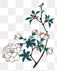 Vintage cherry blossom png on transparent background.    Remastered by rawpixel. 