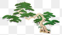 Vintage pine tree png on transparent background.    Remastered by rawpixel. 