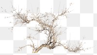 Vintage tree png on transparent background.    Remastered by rawpixel. 