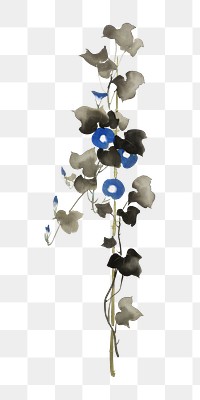 Vintage morning glories png on transparent background.  Remastered by rawpixel. 