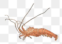 Japanese lobster png sticker, transparent background. Remastered by rawpixel. 