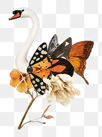 Swan png sticker, animal illustration mixed media transparent background