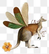 Kangaroo png collage sticker, animal illustration mixed media transparent background