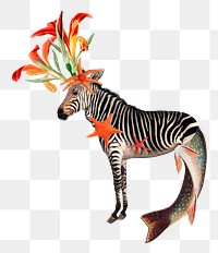 Zebra png collage sticker, animal illustration mixed media transparent background