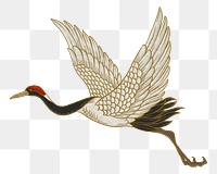 Watanabe Shoka's png crane bird, oriental animal illustration, transparent background