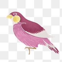 Purple bird png, vintage animal illustration, transparent background