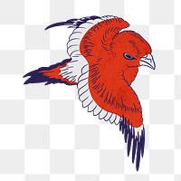 Red angry bird png, vintage animal illustration, transparent background