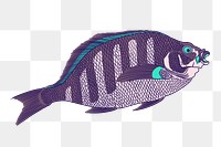 Sheepshead fish png sticker, vintage animal illustration, transparent background
