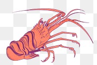 Vintage lobster png sticker, sea animal illustration, transparent background