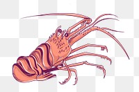 Vintage lobster png sticker, sea animal illustration, transparent background